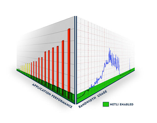 Netli perf bandwidth